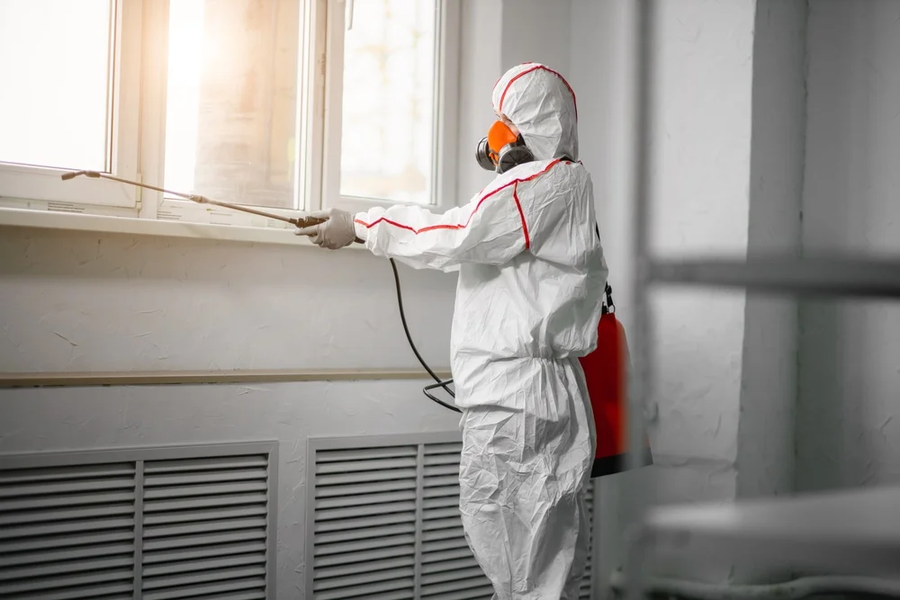 Professional mold remediation services in Shaw Island, WA